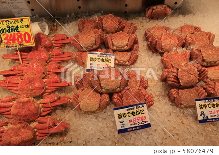 札幌市中央卸売市場 場外市場 札幌市中央卸売市場 場外市場 58076479
