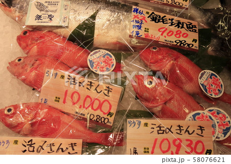 札幌市中央卸売市場 場外市場の海産物 札幌市中央卸売市場 場外市場の海産物 58076621