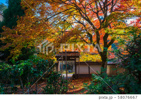 京都 常照皇寺の紅葉 京都 常照皇寺の紅葉 58076667