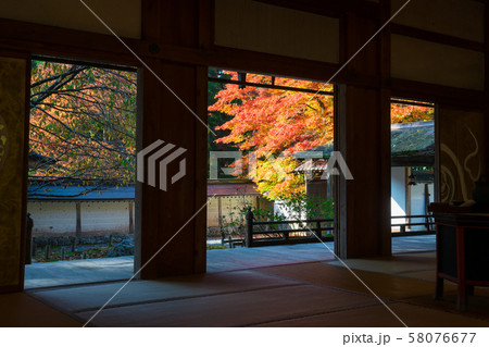 京都　常照皇寺の紅葉　 58076677