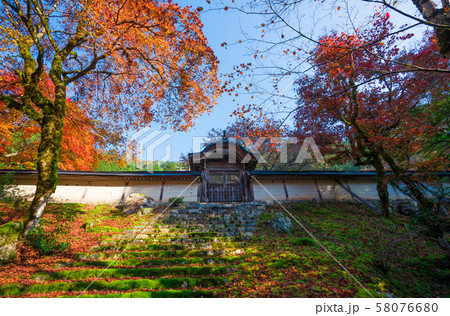 京都 常照皇寺の紅葉 京都 常照皇寺の紅葉 58076680
