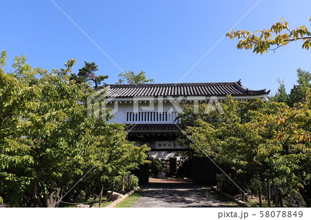 岸和田城 岸和田城 58078849