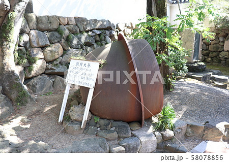 岸和田城 岸和田城 58078856