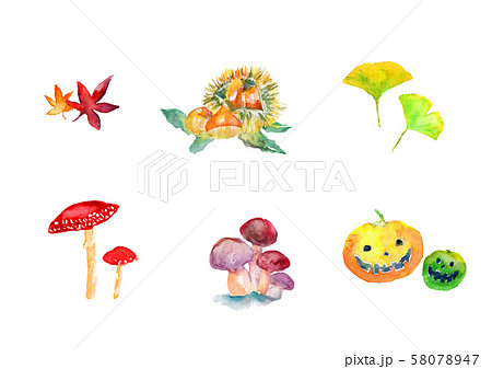 秋　イラストカット　栗　紅葉　銀杏　ハロウィン　きのこ 58078947