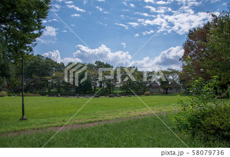 見沼氷川公園　　さいたま市緑区 58079736