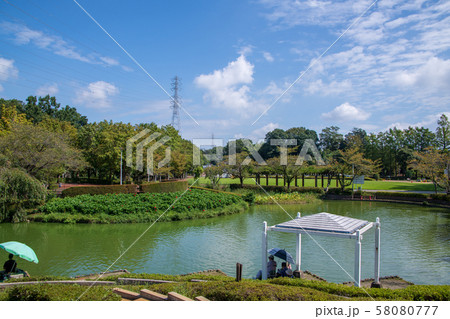 さぎ山記念公園　修景池　さいたま市緑区 58080777