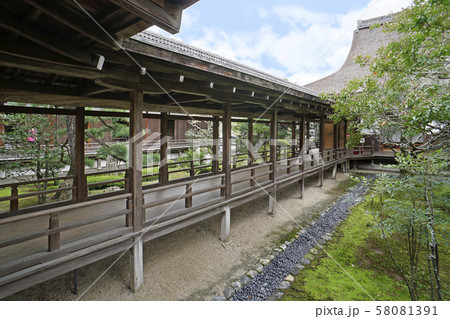 大覚寺 58081391