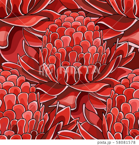 Seamless pattern with red Torch ginger Etlingera elatior flowers background Seamless pattern with red Torch ginger Etlingera elatior flowers background 58081578