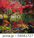 紅葉、京都、南禅寺、永観堂、禅林寺、赤、黄、背景、綺麗 紅葉、京都、南禅寺、永観堂、禅林寺、赤、黄、背景、綺麗 58081727