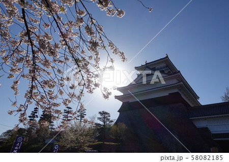 桜の上山城 桜の上山城 58082185