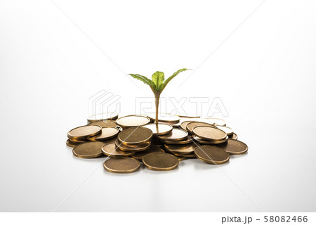 お金と新芽 58082466