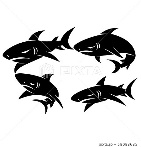 Shark logo badge design vector set illustration 58083635