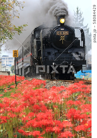 真岡鐵道「SLもおか号と彼岸花」 真岡鐵道「SLもおか号と彼岸花」 58084429