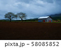 畑 58085852