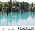 青い池　北海道美瑛町 58085885