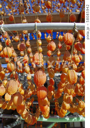 干し柿の里 山ノ上 岡谷県小田郡矢掛町 干し柿の里 山ノ上 岡谷県小田郡矢掛町 58085942