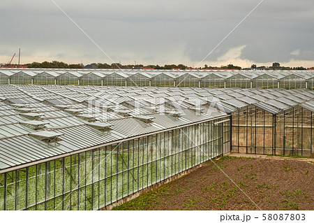 Greenhouse agricultural production 58087803