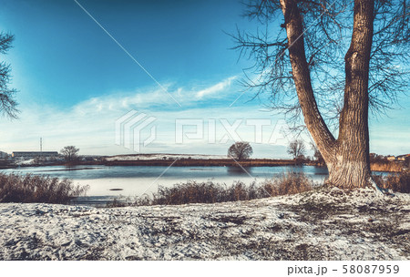 Rest on the winter nature.  58087959