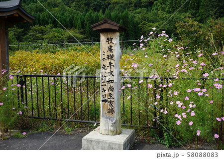 廃線になった岩泉線旧和井内駅 廃線になった岩泉線旧和井内駅 58088083