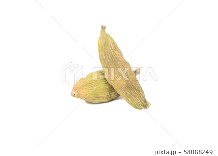 Dry cardamom isolate 58088249