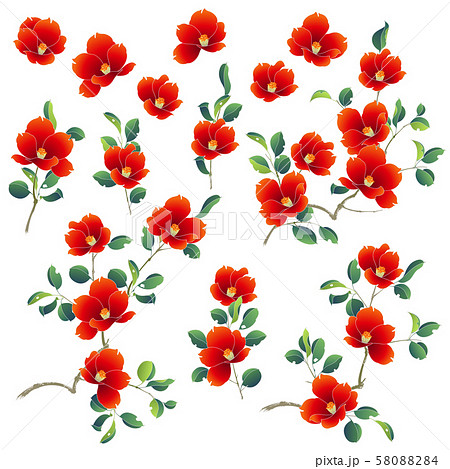 和調 椿のイラスト のイラスト素材 5804