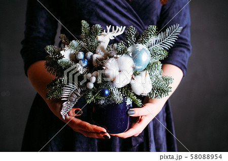 winter holiday interior decor fir tree arrangement 58088954