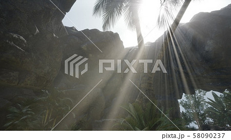 Big Palms in Stone Cave with Rays of Sunlight 58090237