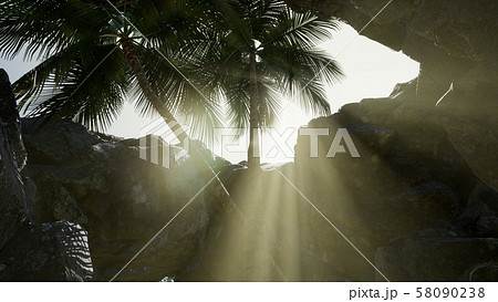 Big Palms in Stone Cave with Rays of Sunlight 58090238