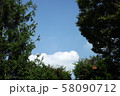 木々の向う側 58090712