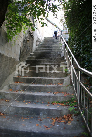 路地 木 フェンス 58090760