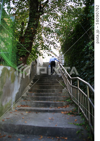 路地 木 フェンス 58090762