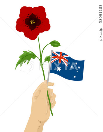 Hand Hold Poppy Flower Illustration 58091183
