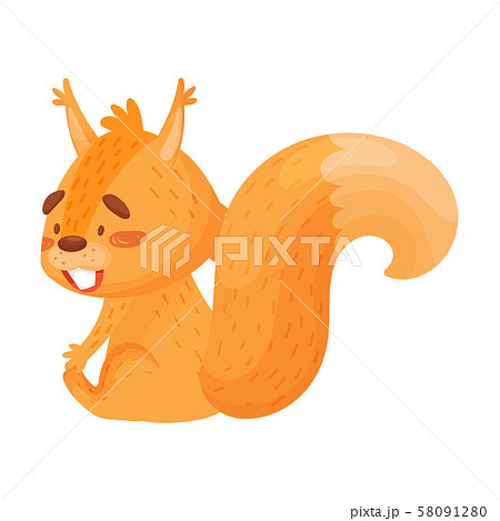 Vector Illustration Of A Playful Sitting Ginger Squirrel With Big Fluffy Tail. Vector Illustration Of A Playful Sitting Ginger Squirrel With Big Fluffy Tail. 58091280