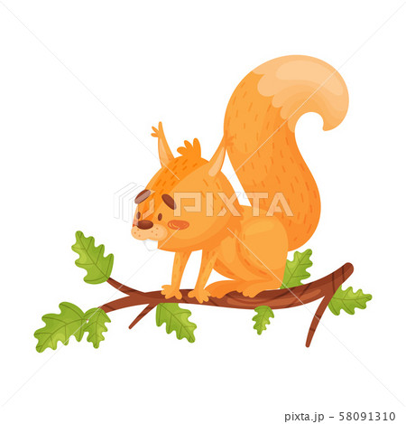 Bright Vector Illustration Of Sitting On A Branch Red Squirrel. 58091310