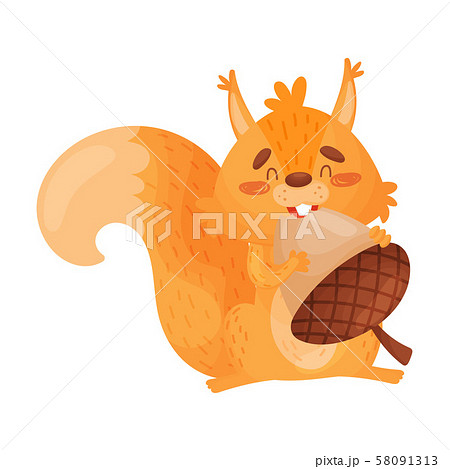 Vector Illustration Of Orange Squirrel Eating A Big Nut. 58091313