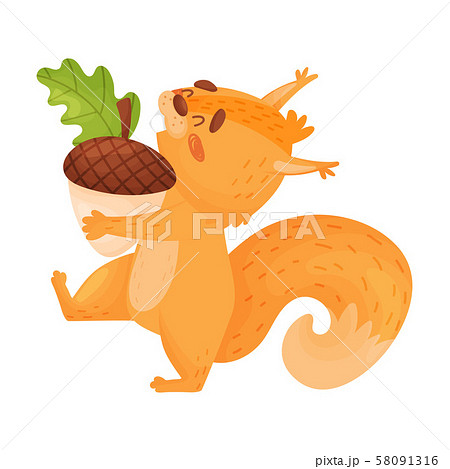 Funny Squirrel Carrying A Nut Vector Illustration On White Background. 58091316