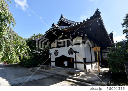 養源院 本堂 養源院 本堂 58091556