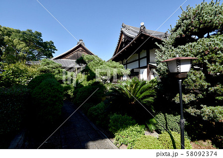 東福寺　万寿院境内 58092374