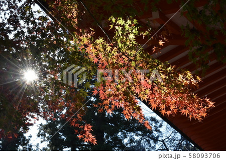 秋の山 | 風景 58093706