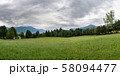 Panoramic landscape view of meadow in Austria. 58094477