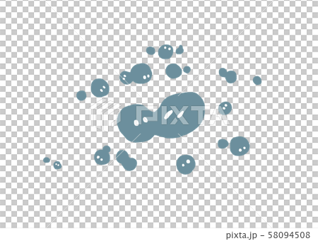細菌生長，繁殖，分裂，細胞分裂 58094508