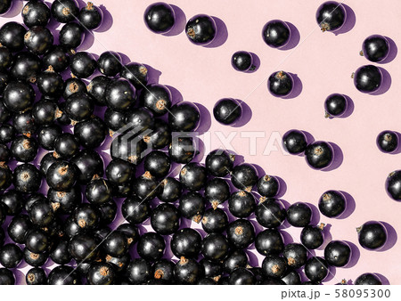 Black currant berries macro photo. Top view. Black currant berries macro photo. Top view. 58095300