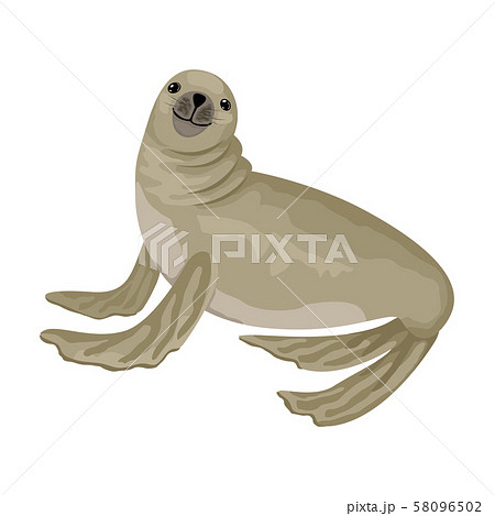 Fur seal is smiling. Vector isolated animal character. 58096502