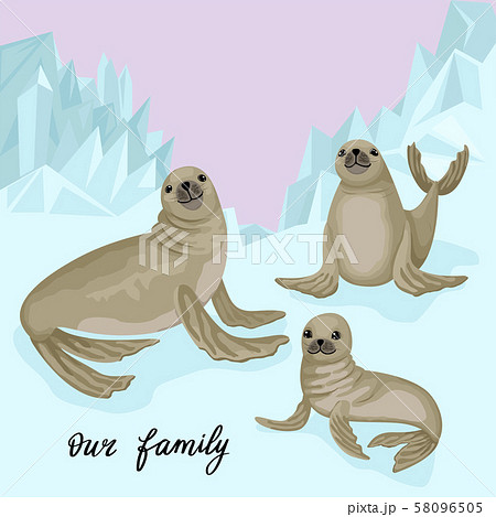 Family of fur seals on the glacier. Vector illustration of animals and natural habitat with the 58096505