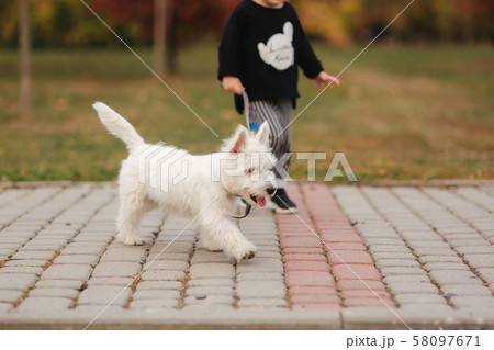 Happy mother and her daughter playing with dog in autumn park. Family, pet, domestic animal and Happy mother and her daughter playing with dog in autumn park. Family, pet, domestic animal and 58097671