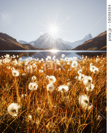 Picturesque view on Bachalpsee lake in Swiss Alps mountains Picturesque view on Bachalpsee lake in Swiss Alps mountains 58098364