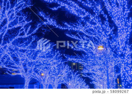 東京　渋谷　青の洞窟　SHIBUYA　イルミネーション　代々木公園　ケヤキ並木　青い洞窟　日本 58099267