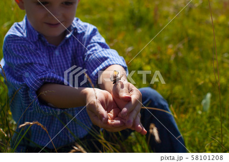 Boy catched the butterfly in the hands 58101208