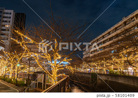 目黒川　イルミネーション　景色　風景　光　冬　東京　日本 58101409