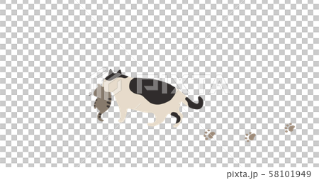 猫の親子のお散歩 猫の親子のお散歩 58101949